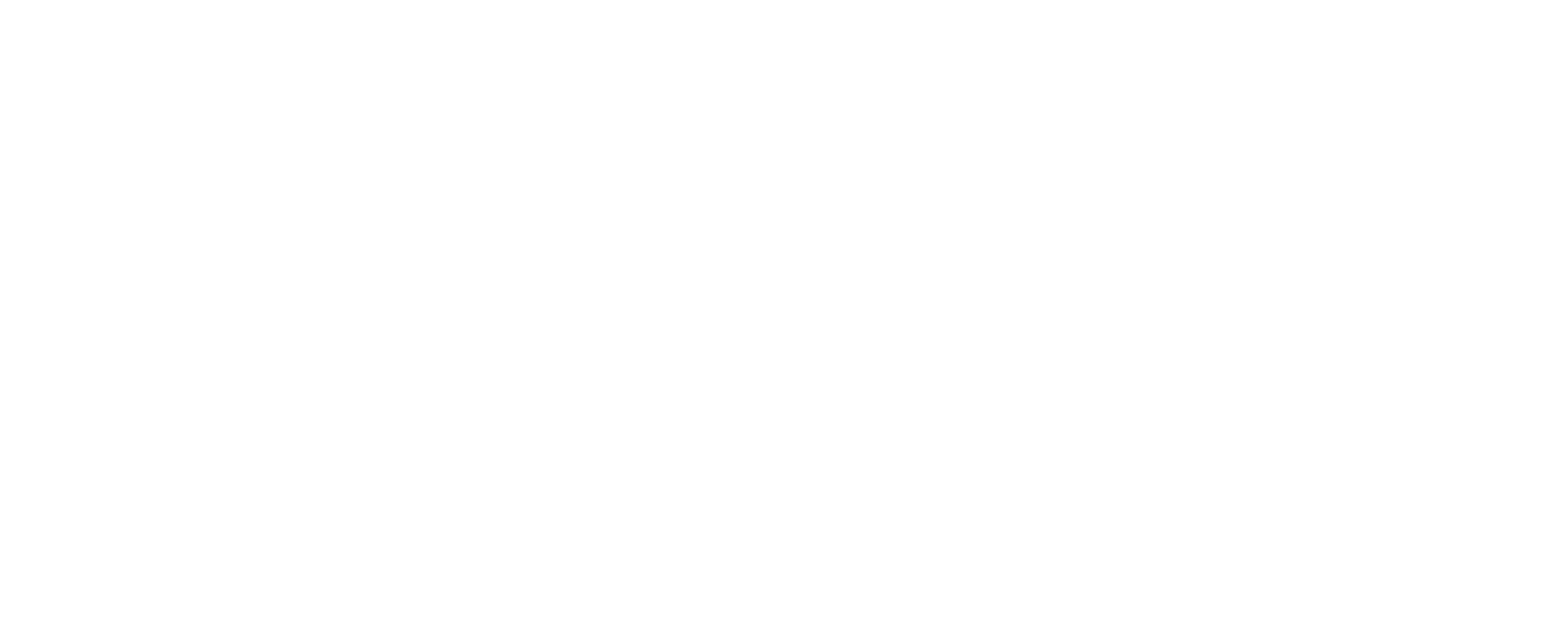 Consultor politico